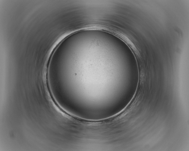 X0000113001484200908271336