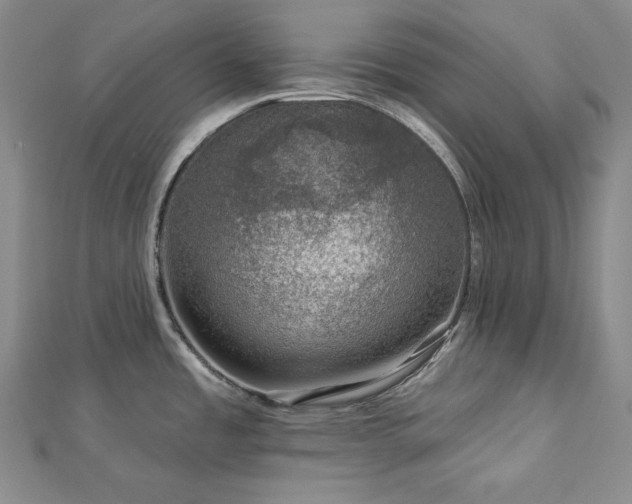 X0000113001485200908271336