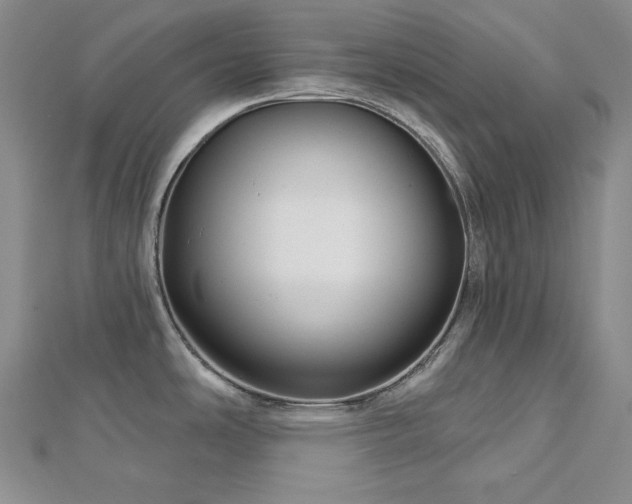 X0000113001486200908271336