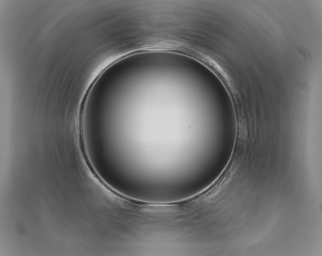 X0000113001487200908271336
