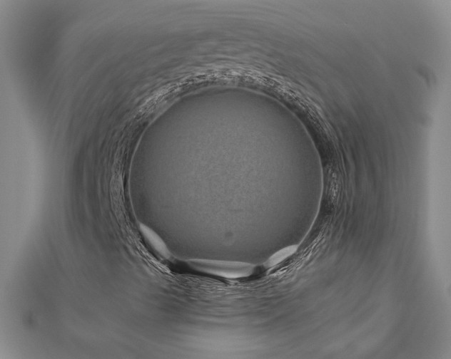 X0000113001489200908271335