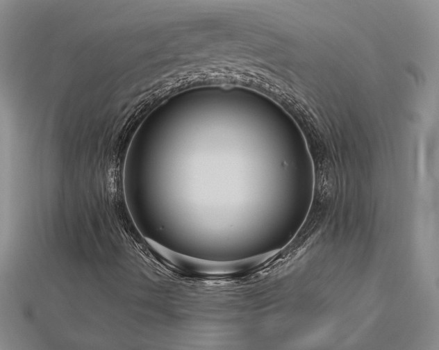 X0000113001490200908271335
