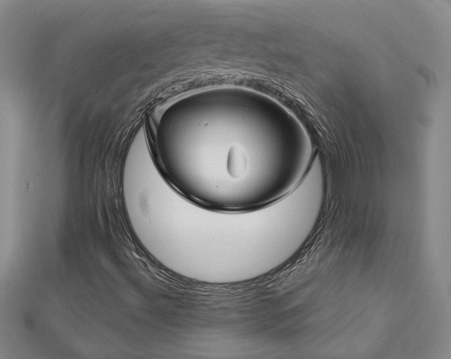 X0000113001492200908271335