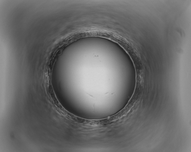 X0000113001493200908271335
