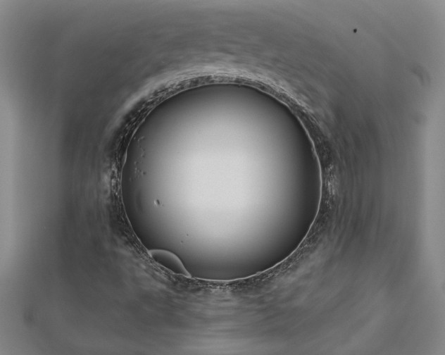X0000113001495200908271335