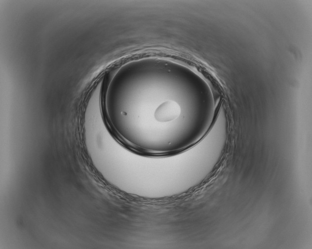 X0000113001496200908271335