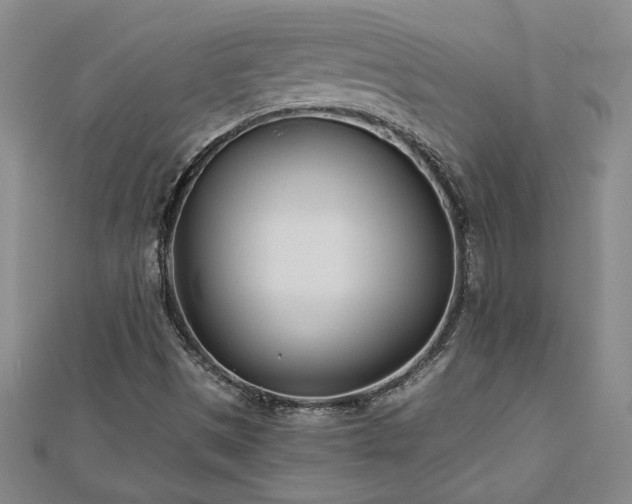 X0000113001497200908271335