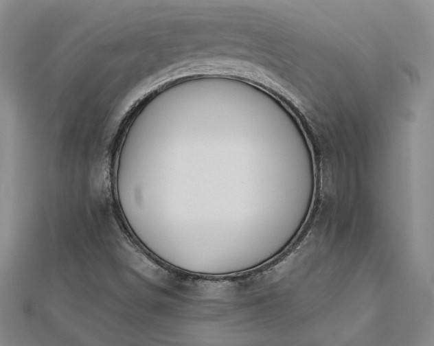 X0000113001498200908271335