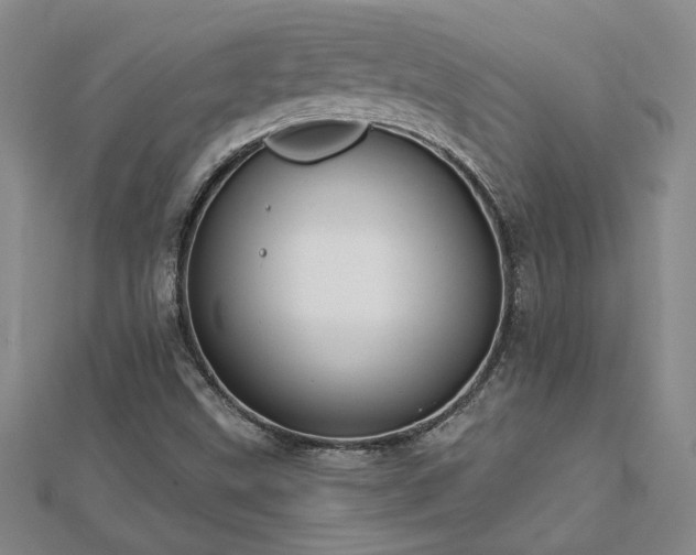 X0000113001499200908271335
