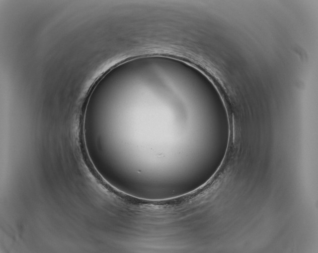 X0000113001500200908271335