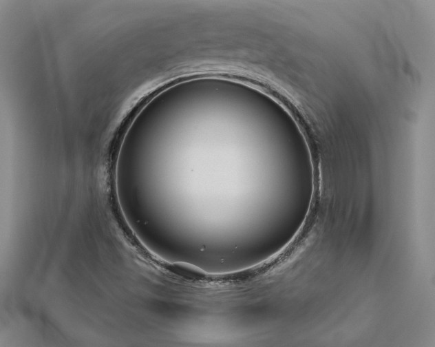 X0000113001501200908271335