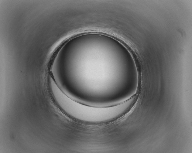 X0000113001502200908271335