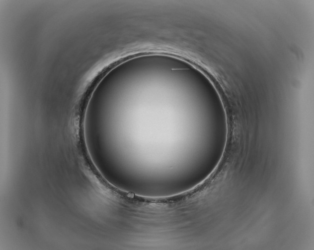 X0000113001503200908271335