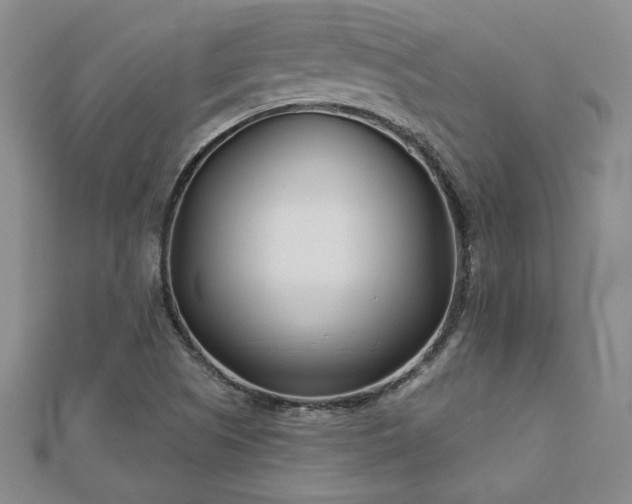 X0000113001505200908271336