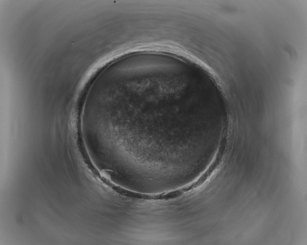X0000113001506200908271336