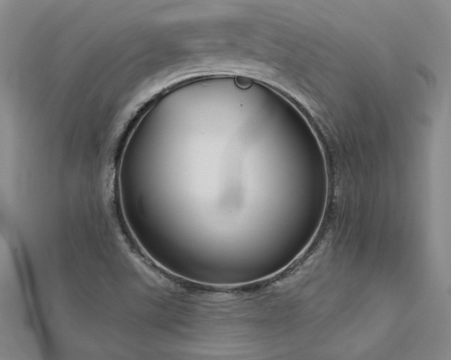 X0000113001507200908271336