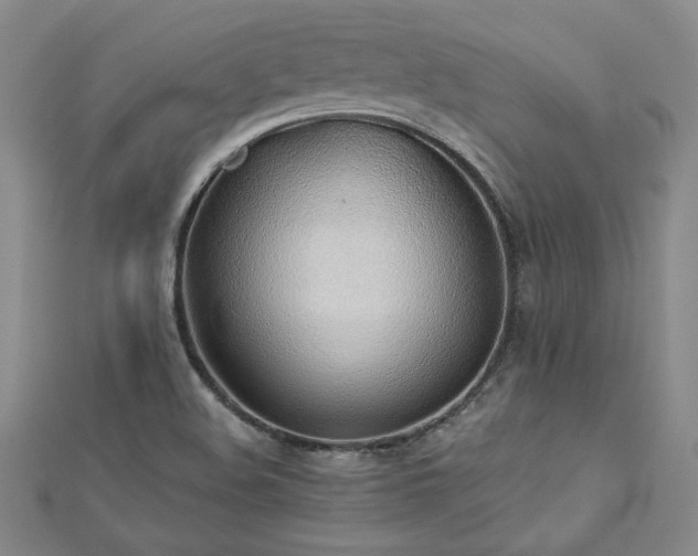 X0000113001508200908271336