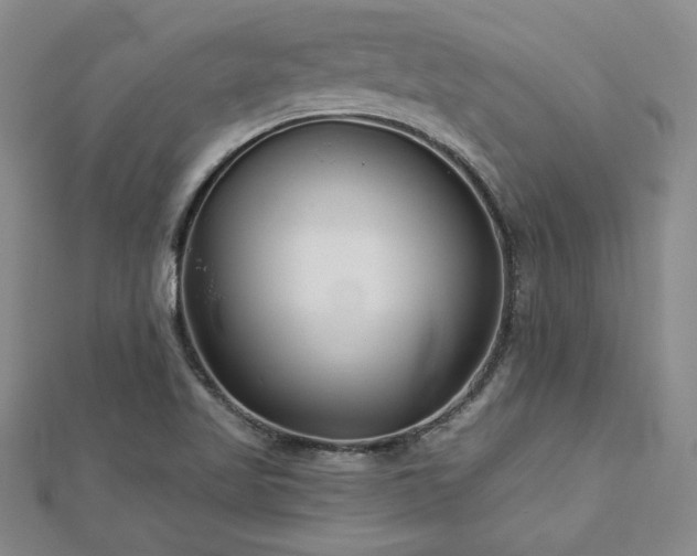 X0000113001509200908271336