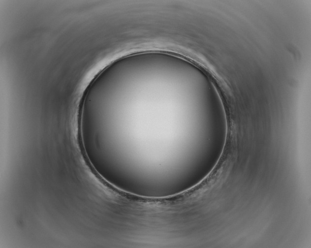 X0000113001512200908271336