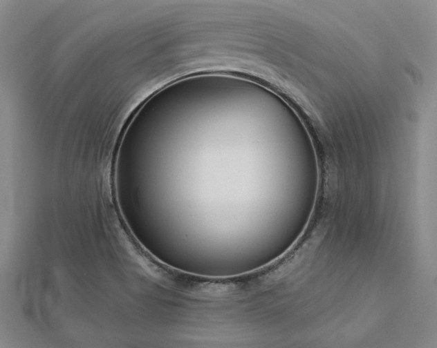 X0000113001513200908271336