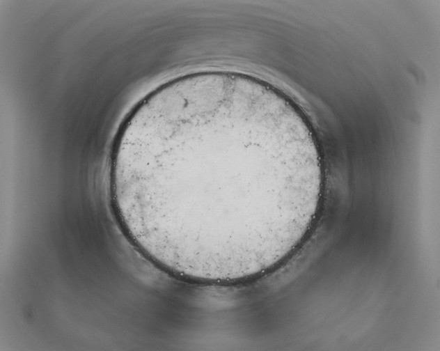 X0000113001514200908271336