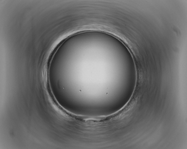 X0000113001515200908271336