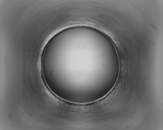 X0000113001516200908271336