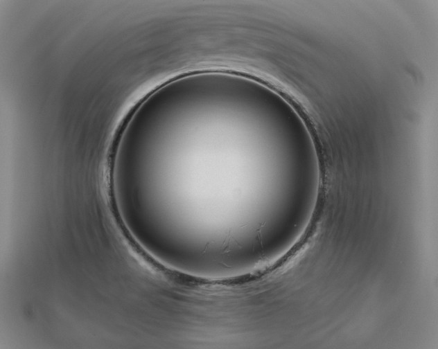 X0000113001517200908271336