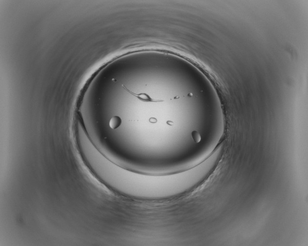 X0000113001518200908271336