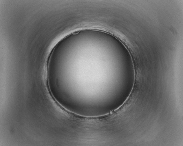 X0000113001520200908271336