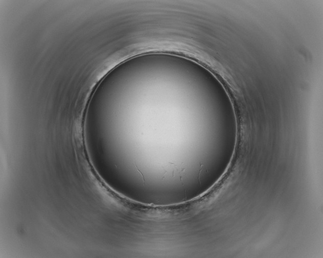 X0000113001521200908271336