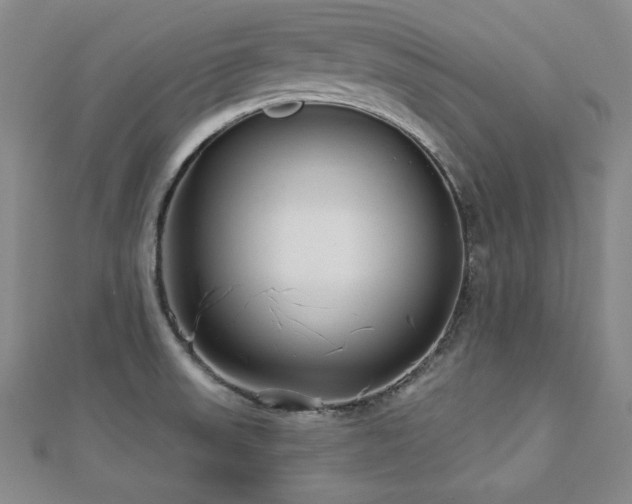 X0000113001523200908271336