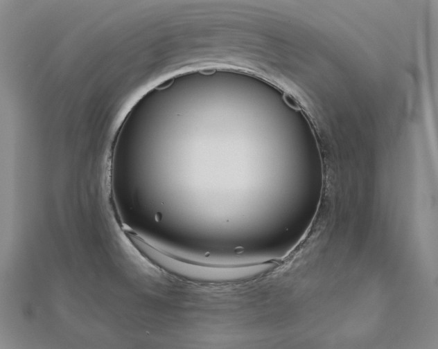X0000113001524200908271336