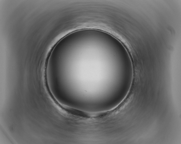 X0000113001525200908271336