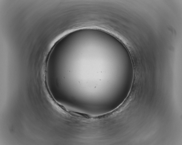 X0000113001526200908271336