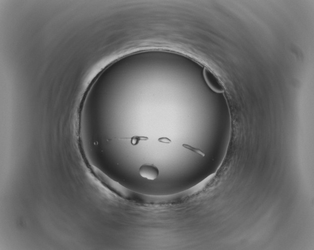 X0000113001527200908271336