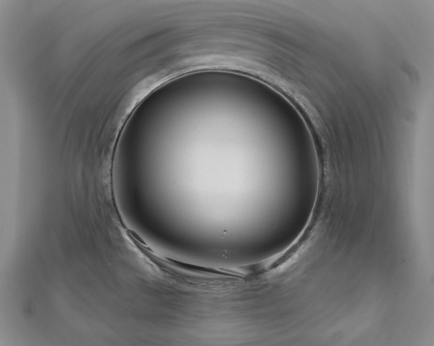 X0000113001529200908271336