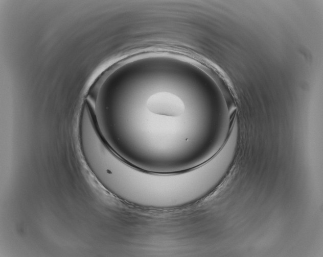 X0000113001530200908271336