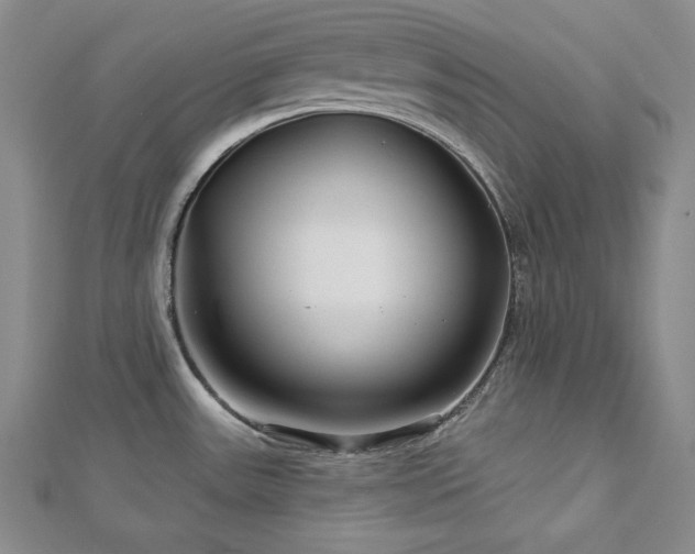 X0000113001531200908271336