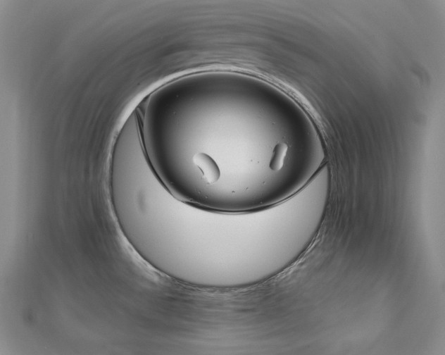 X0000113001532200908271336