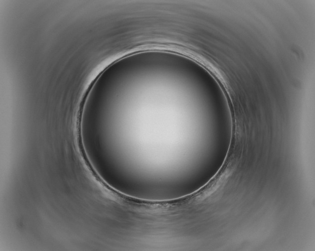X0000113001533200908271336