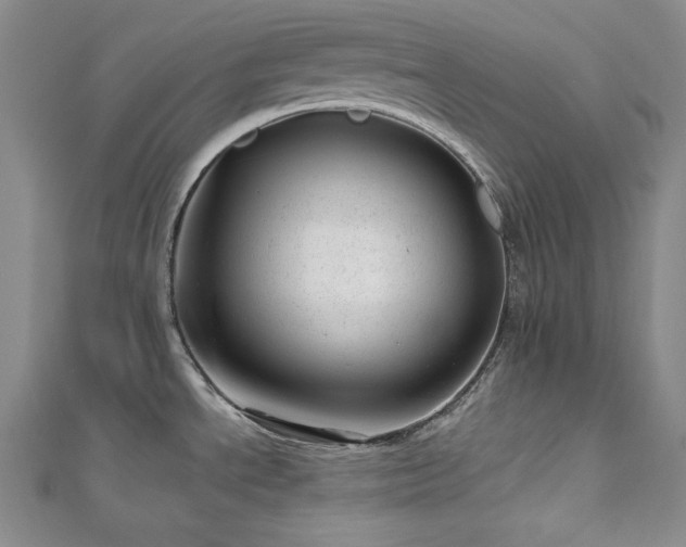 X0000113001534200908271336