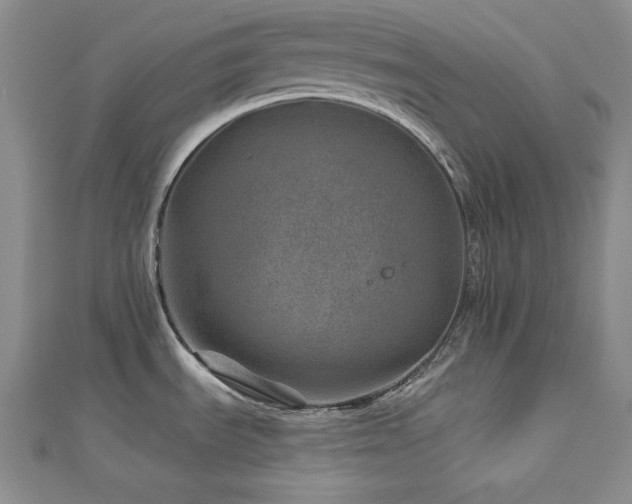 X0000113001535200908271336