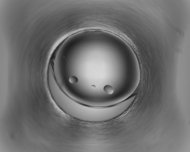 X0000113001536200908271336