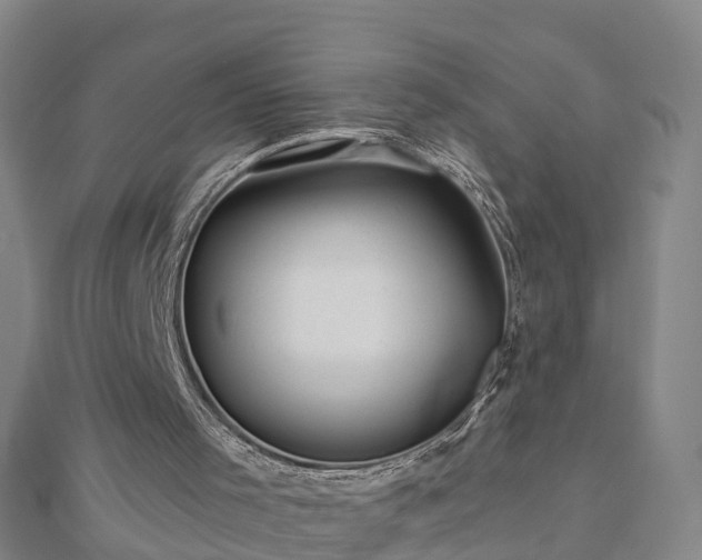 X0000113000001200909031303