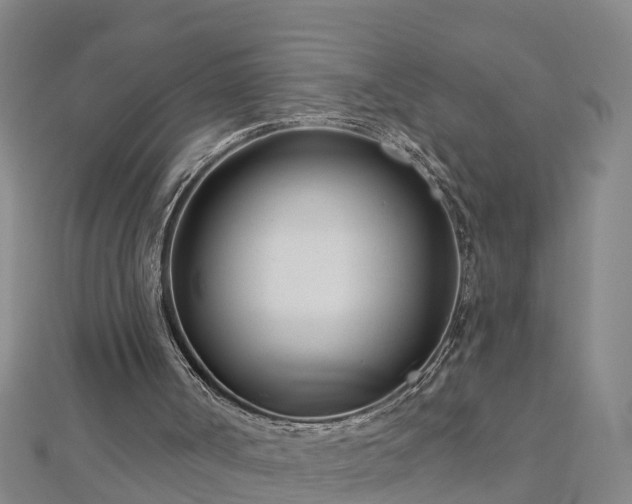 X0000113000002200909031303