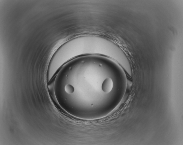 X0000113000003200909031303