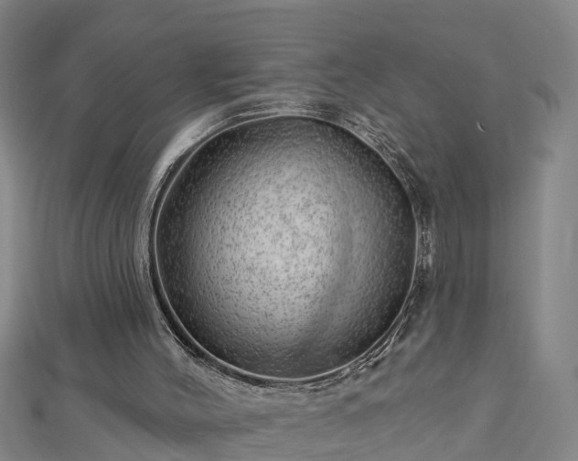 X0000113000004200909031303