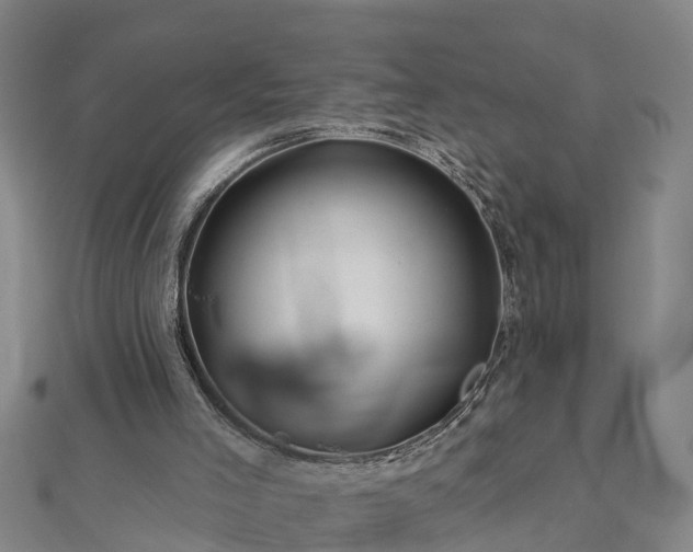 X0000113000005200909031303