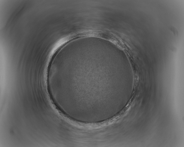 X0000113000006200909031303